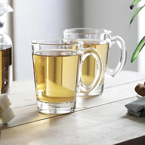 Clear Glass Coffee Mug Set with Handles (48-Piece)