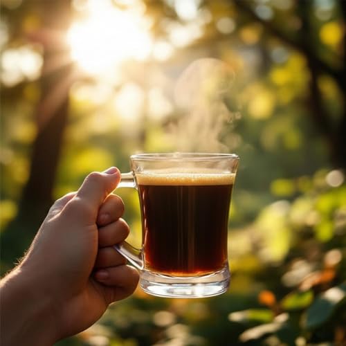 6-Piece Clear Glass Coffee Mug Set with Handles