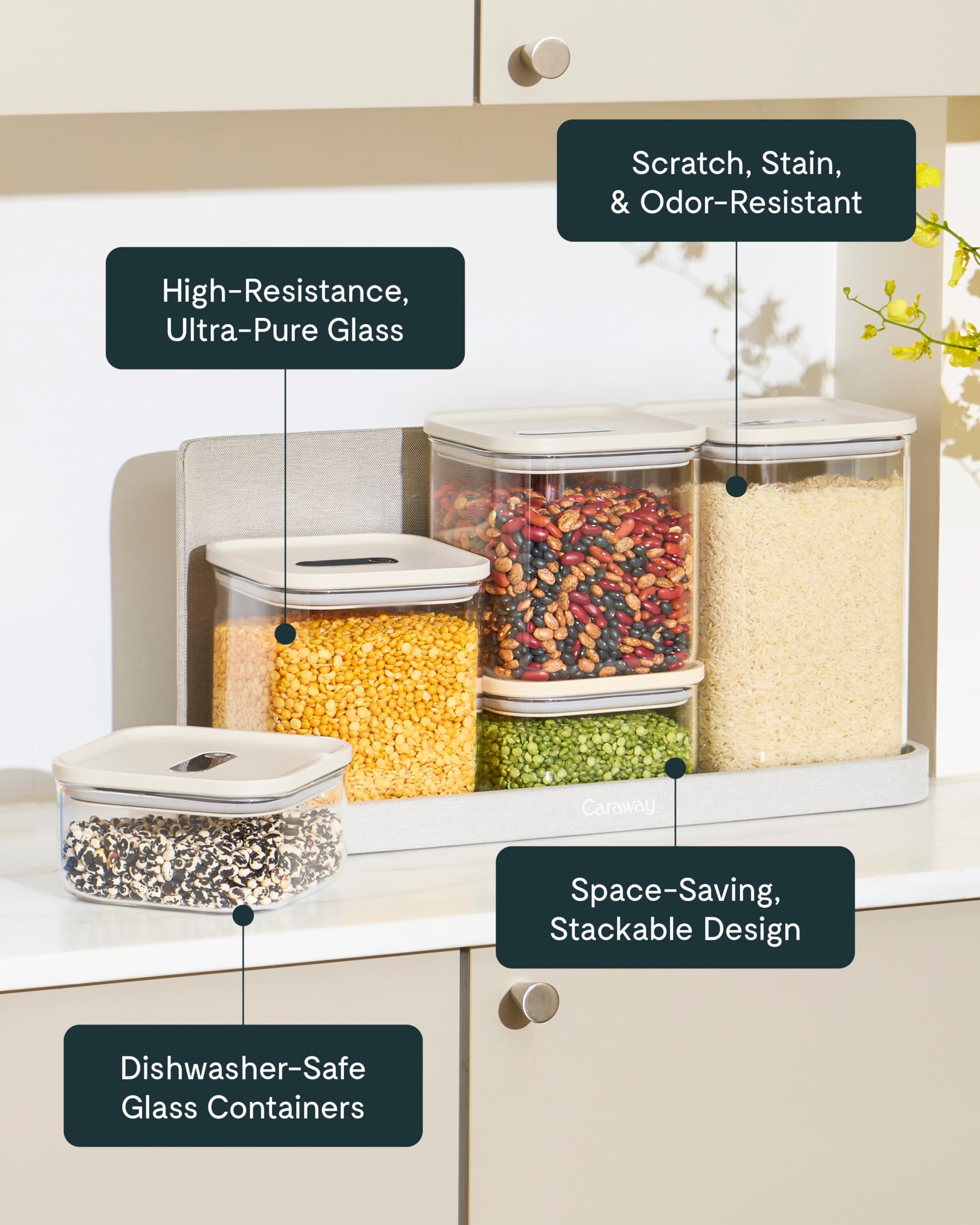 Caraway Glass Airtight Container Bundles - Food Storage Container