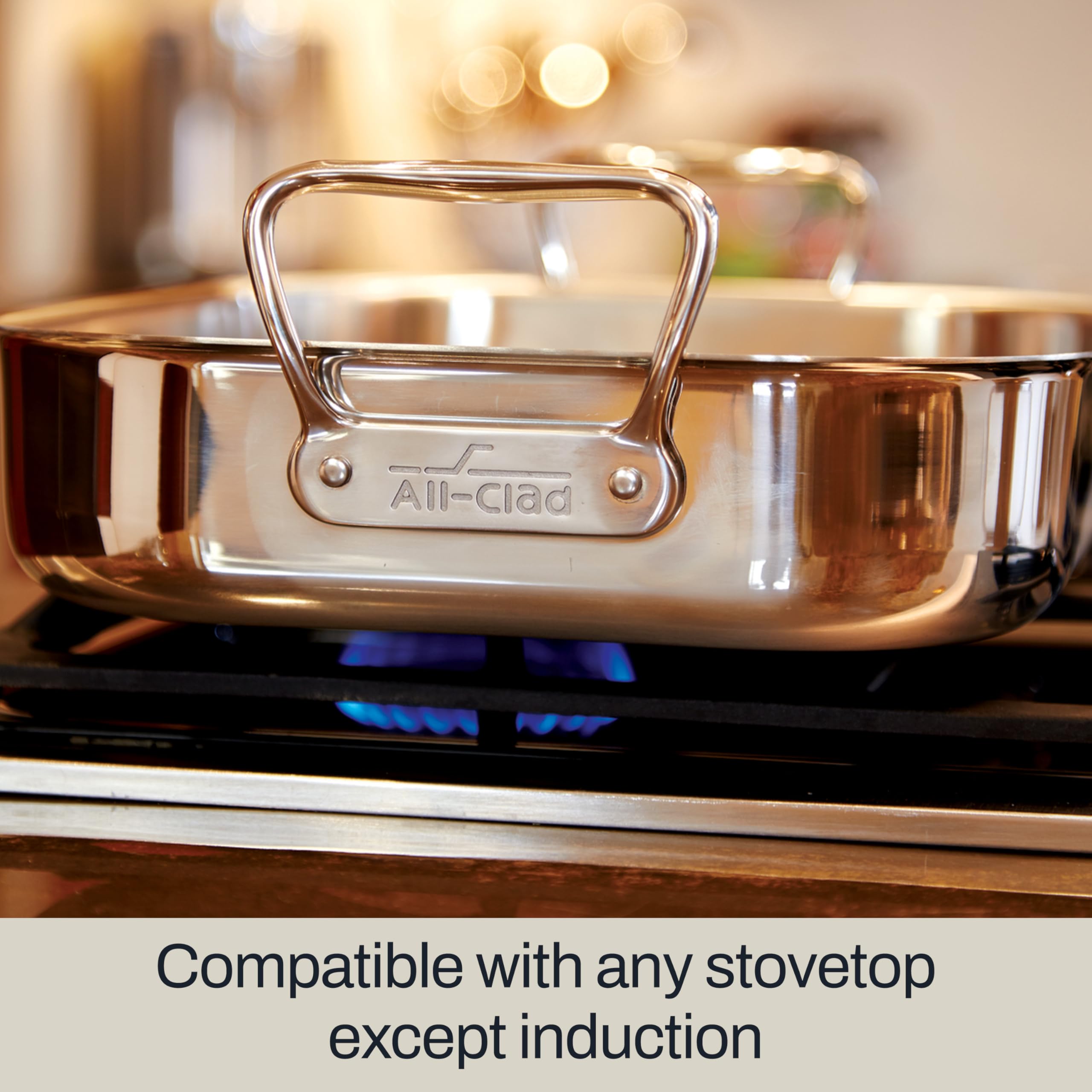 Stainless Steel Roaster with Nonstick Rack